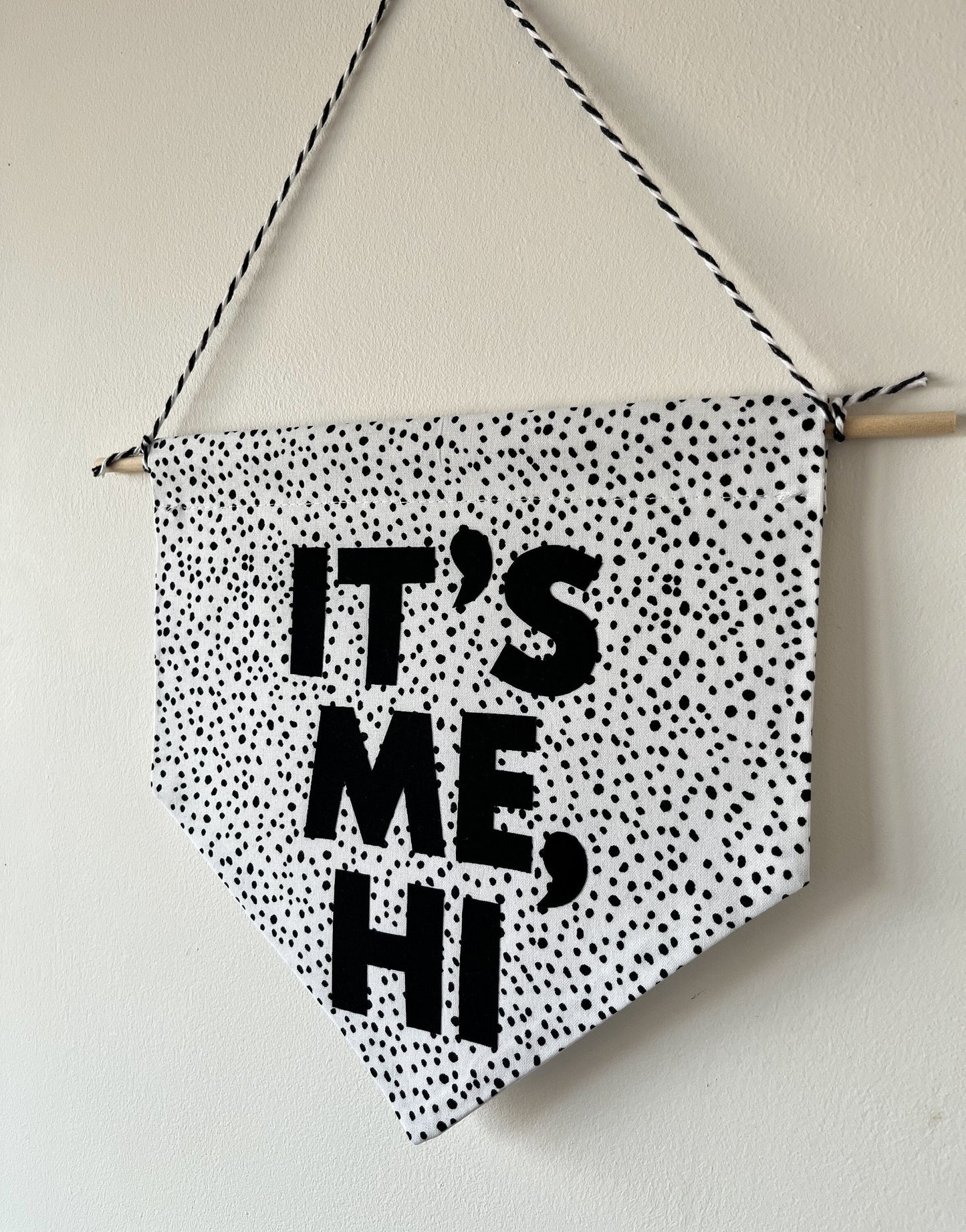 Taylor Swift Inspired It's Me, Hi Quote Pennant Flag