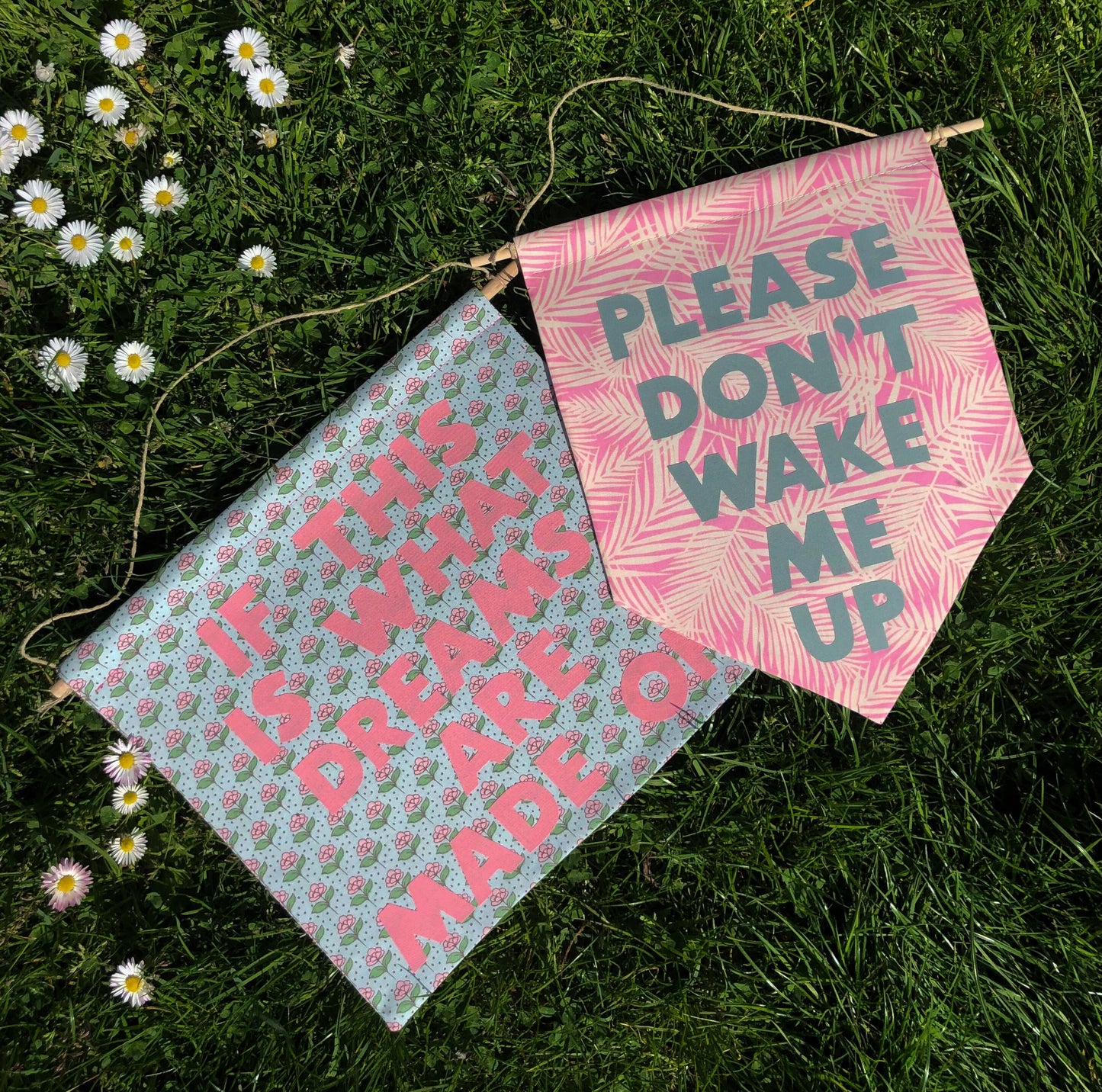 Kacey Musgraves Inspired 'If This Is What Dreams Are Made Of' Pennant Flag