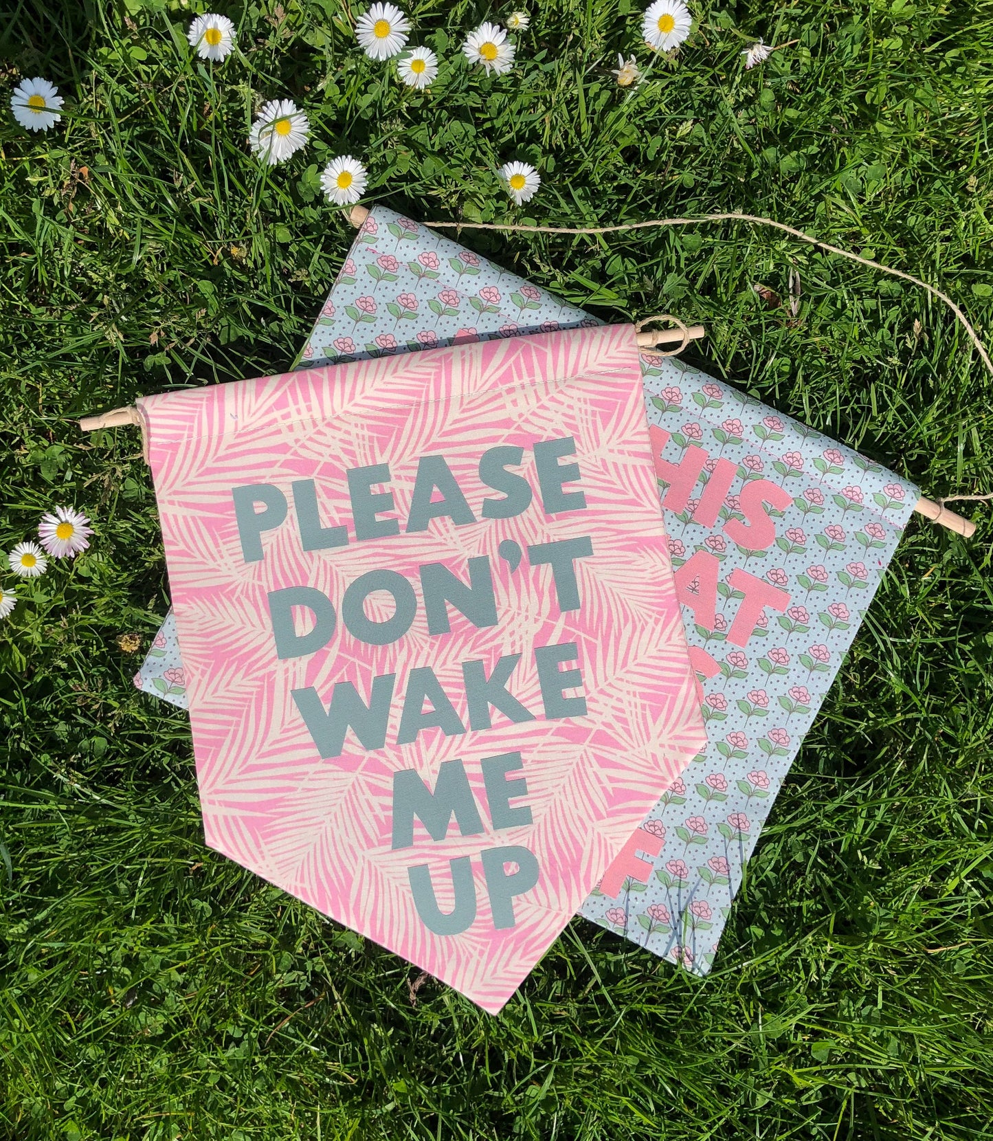 Kacey Musgraves Inspired 'Please Don't Wake Me Up' Pennant Flag