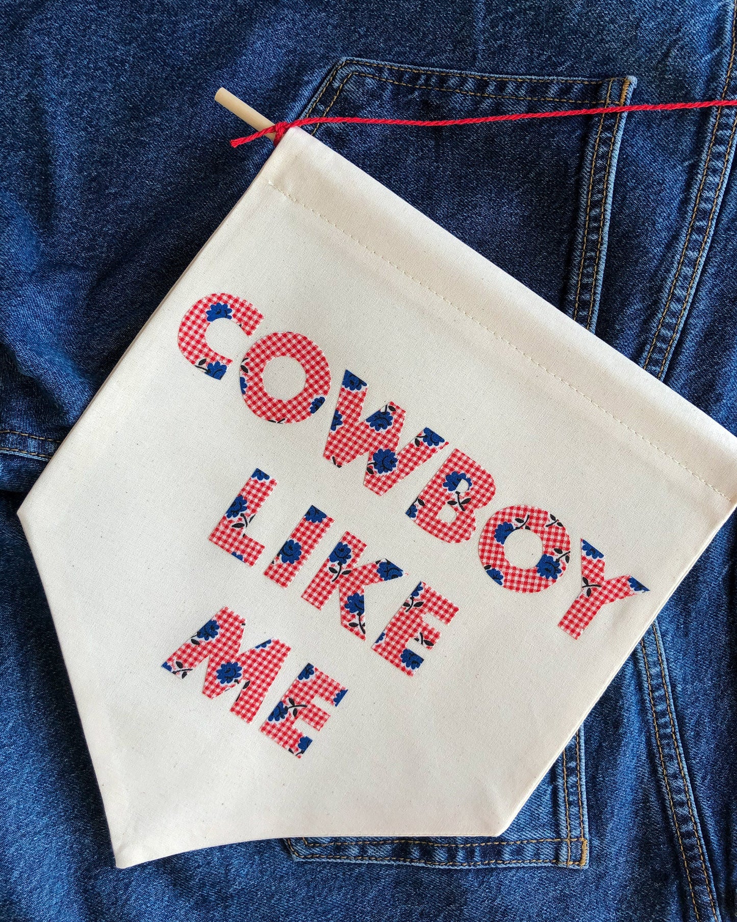 Cowboy Like Me Pennant Flag, Taylor Swift Inspired