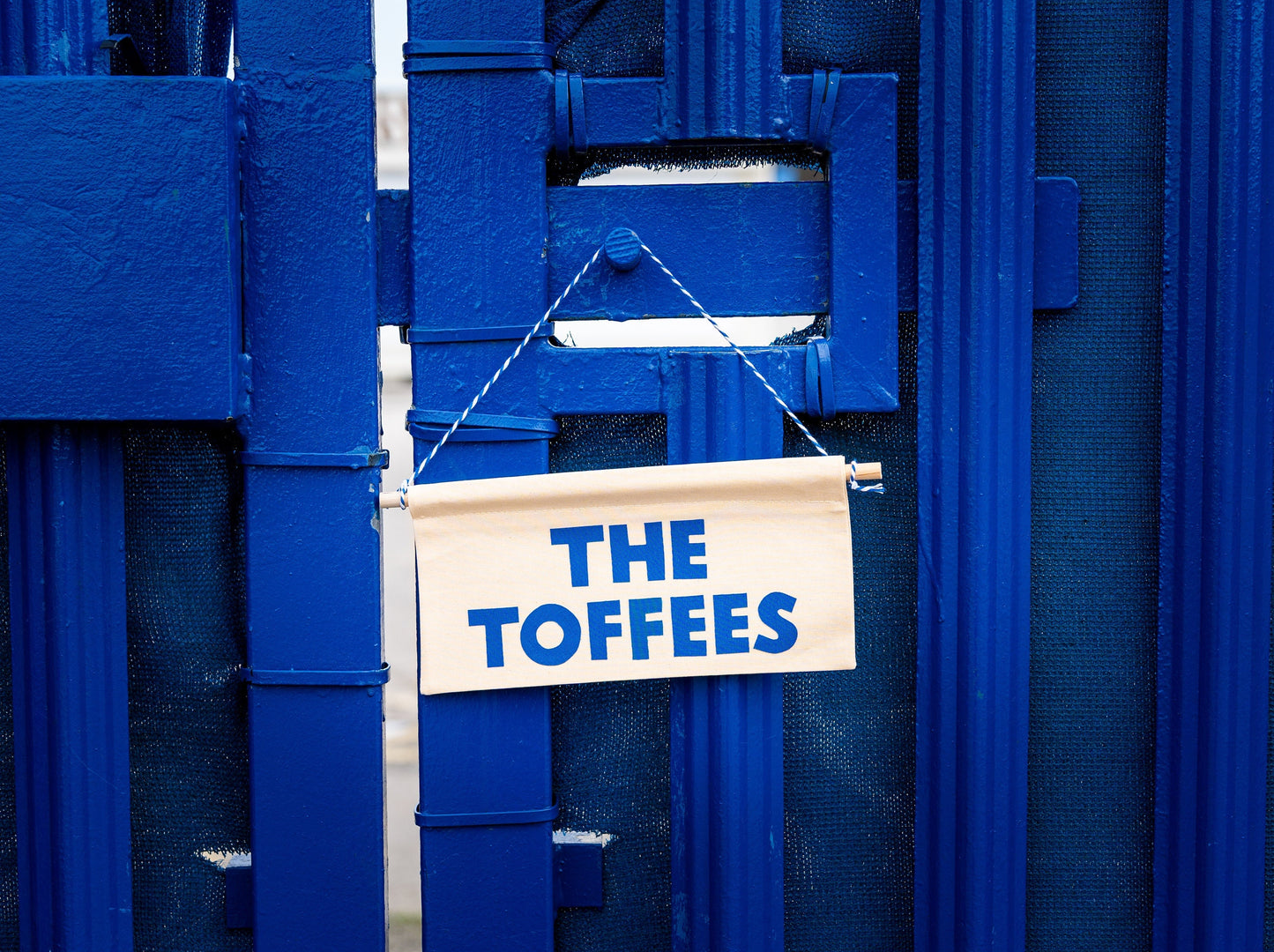 Everton 'The Toffees' Rectangle Pennant Flag