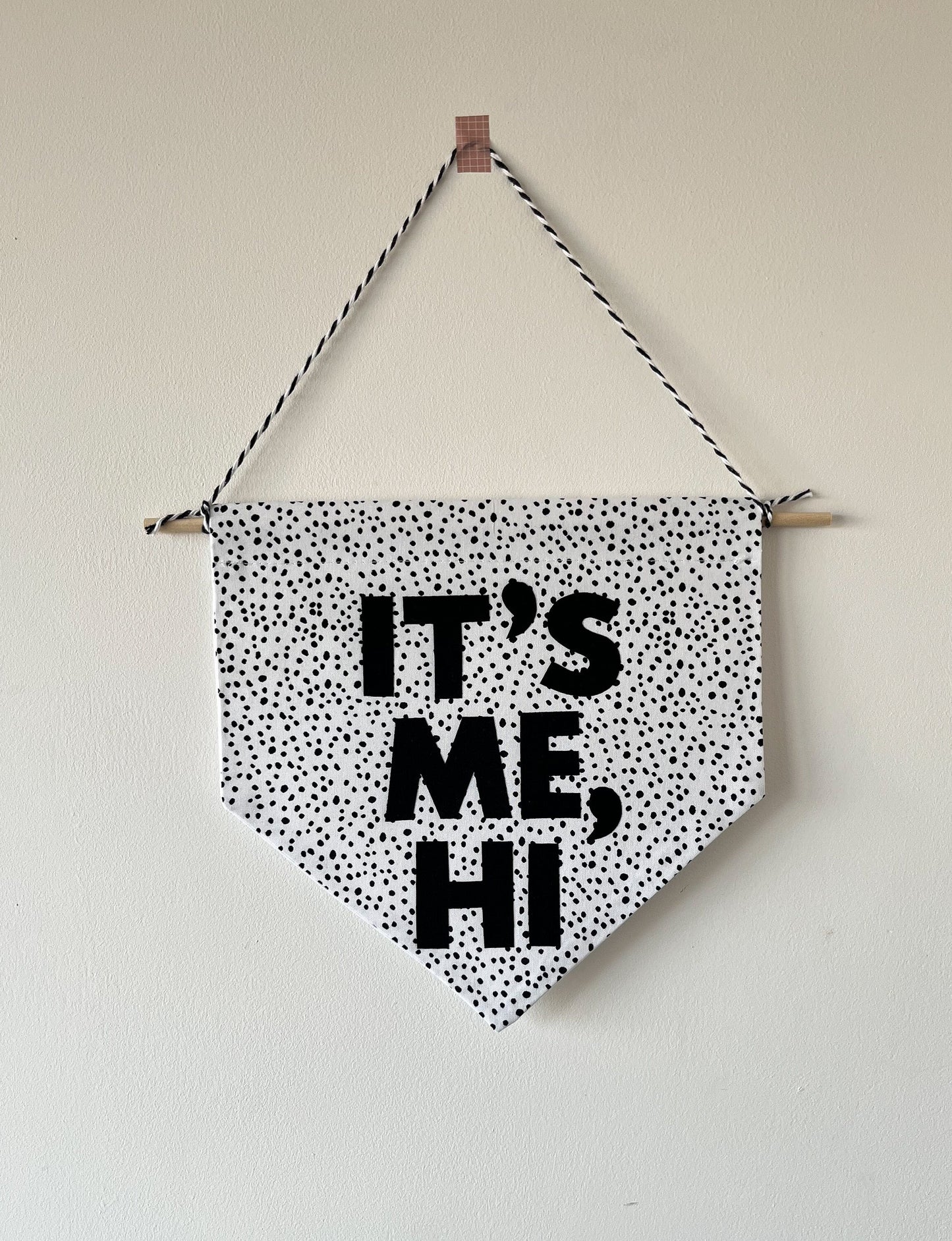 Taylor Swift Inspired It's Me, Hi Quote Pennant Flag