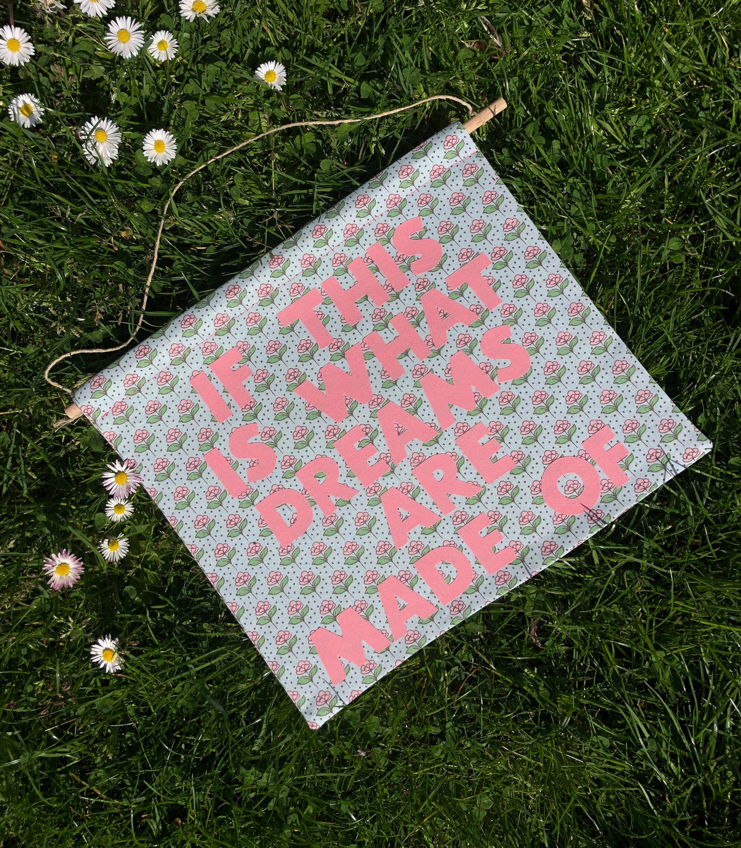 Kacey Musgraves Inspired 'If This Is What Dreams Are Made Of' Pennant Flag